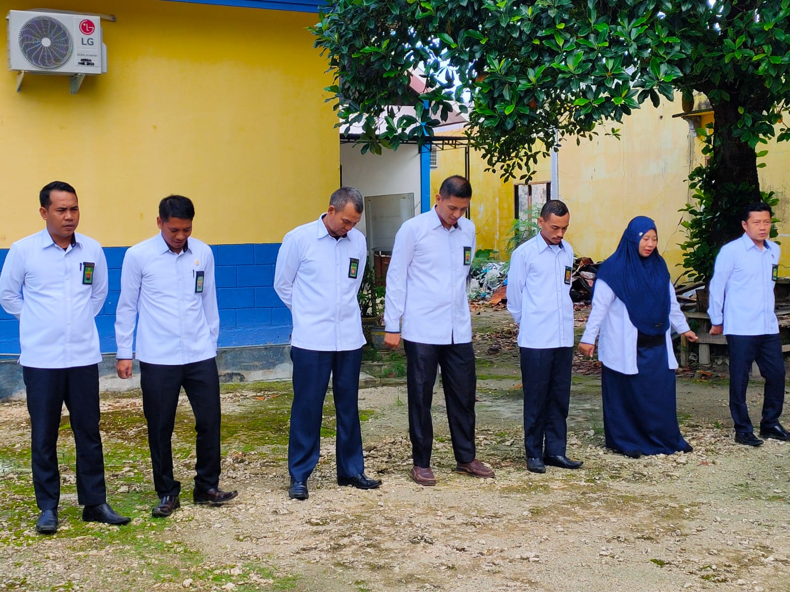 WhatsApp Image 2022-05-09 at 11.11.18.jpeg