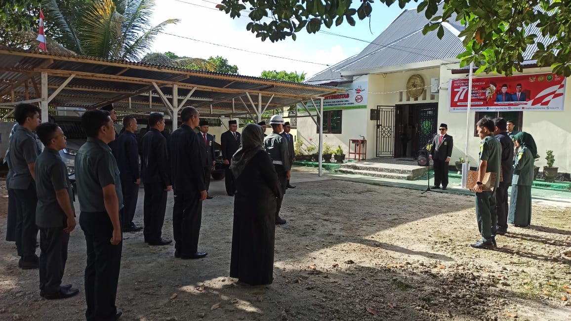 WhatsApp Image 2022-08-19 at 09.52.08.jpeg